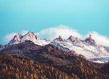 网页版登录入口-官方：哈里-威尔逊的精彩外脚背弹射当选英超12月最佳进球